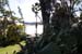 PB_Bible_Garden_01